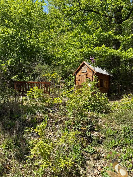 Extérieur, en lisière de forêt