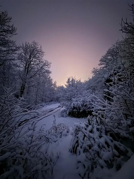 Le chalet, hiver 2026