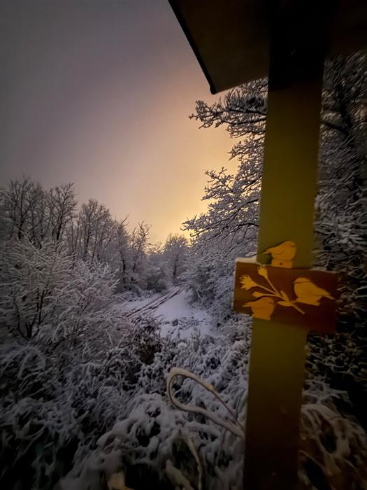 Vue de la terrasse en hiver